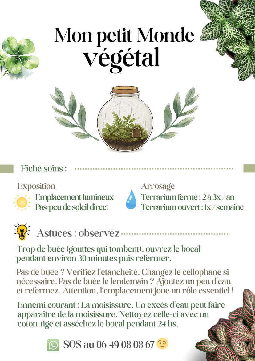 Fiche soin des terrariums, Les Mini Mondes de Marie