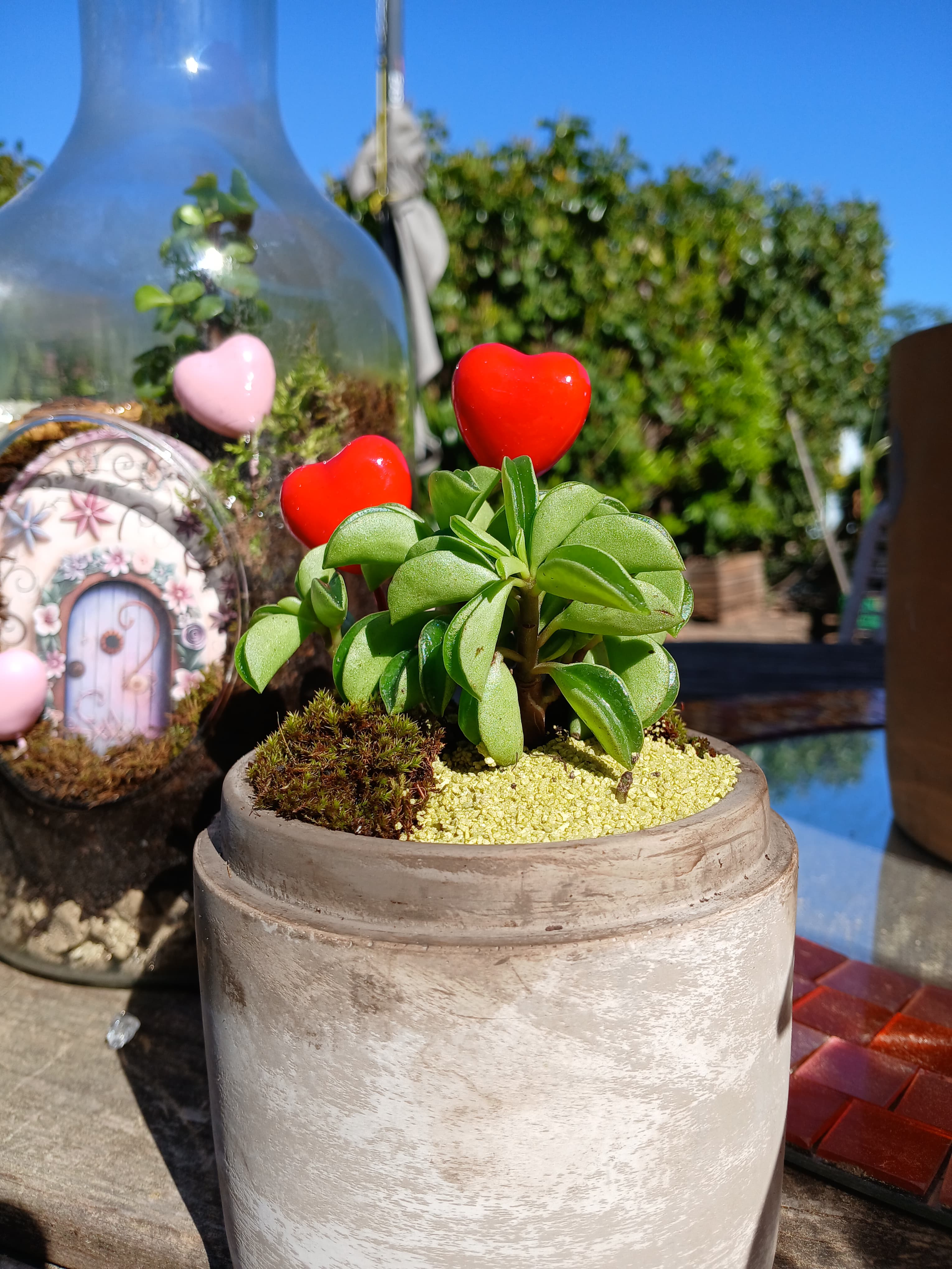 La porte enchanté, Terrarium féerique artisanal, Les Mini Mondes de Marie
