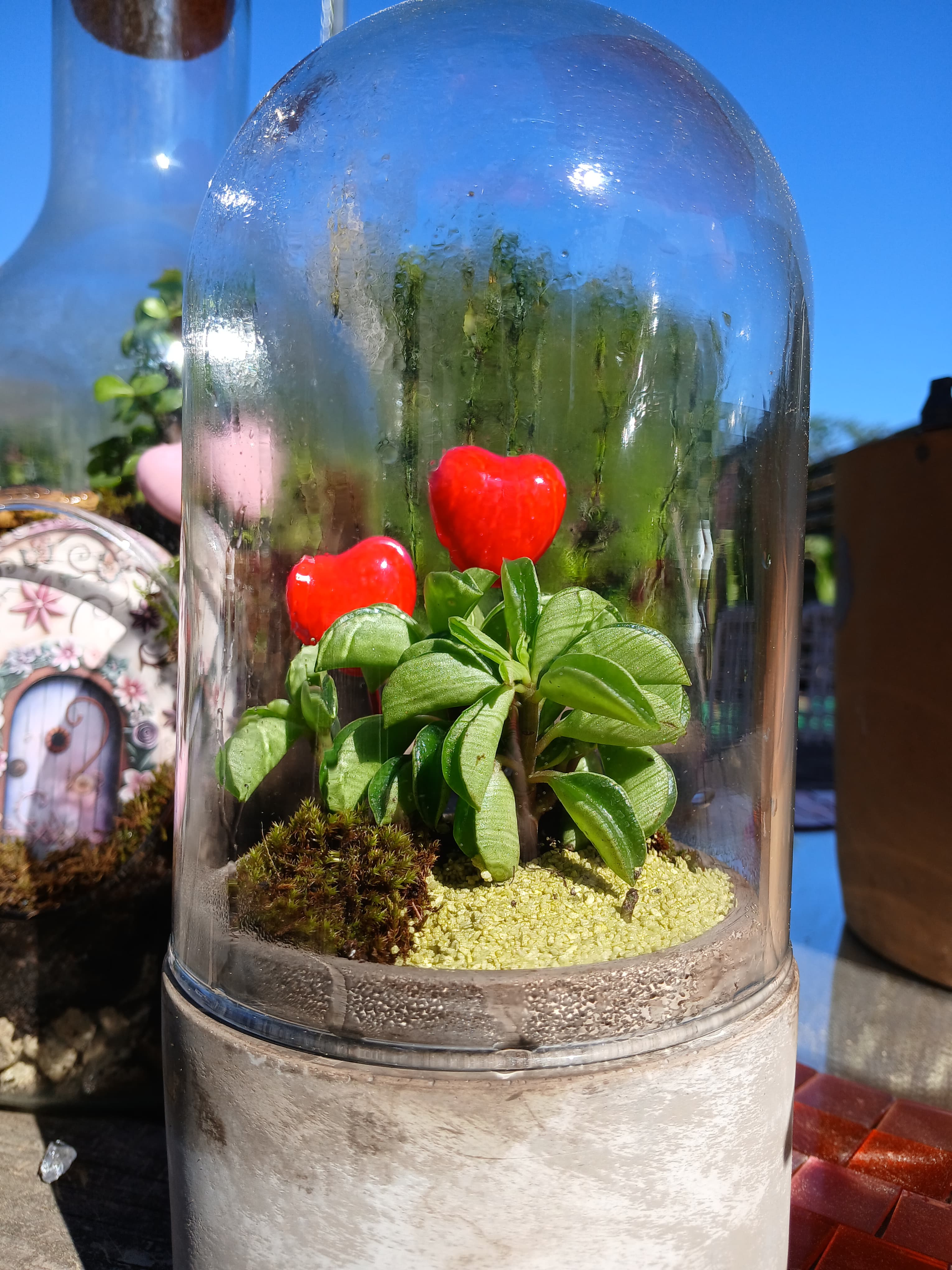Les tortues, Terrarium animé artisanal, Les Mini Mondes de Marie
